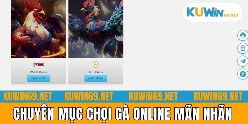 Chuyên mục chọi gà online mãn nhãn